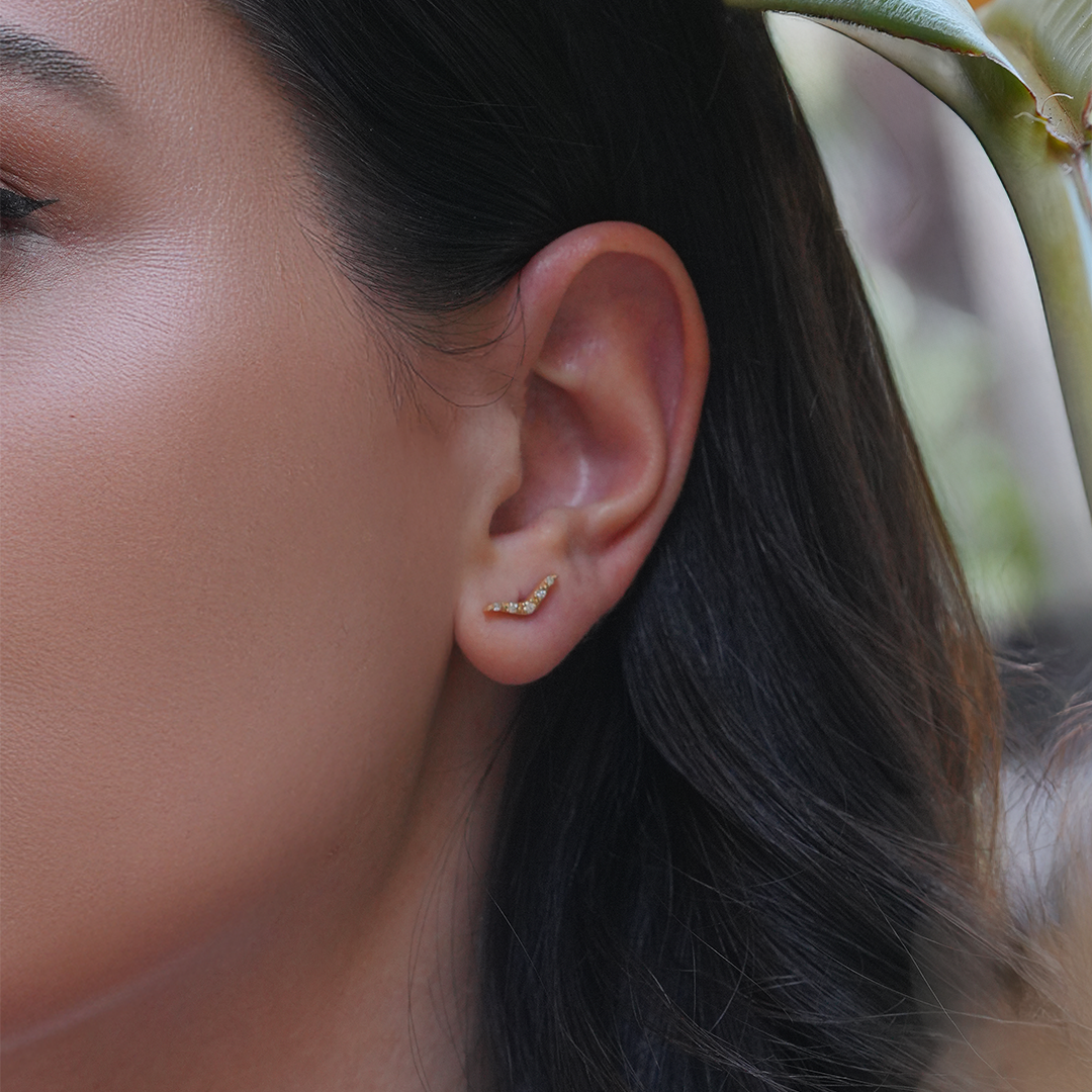 CAOCA Diamond Stone V Earring